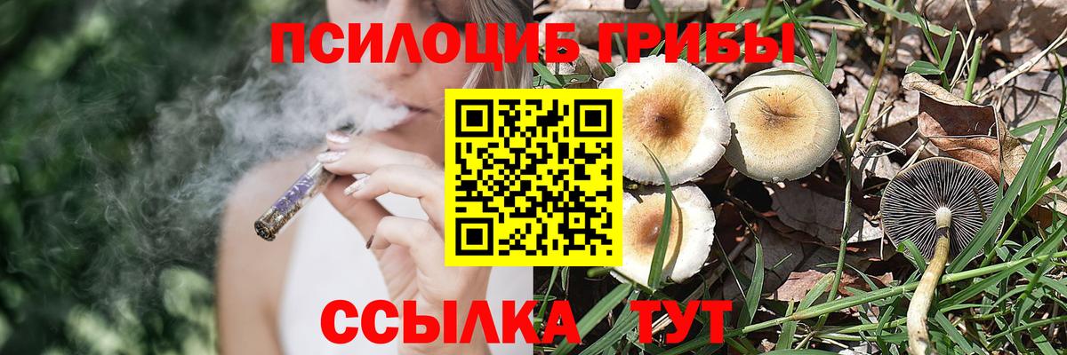 Псилоцибиновые грибы GOLDEN TEACHER Касимов